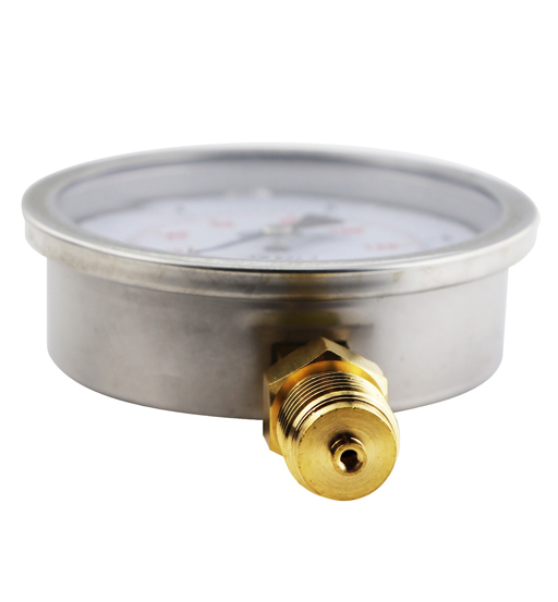 Pressure Gauge SS 0 – 10psi 100MM Bottom Brannan – view 4